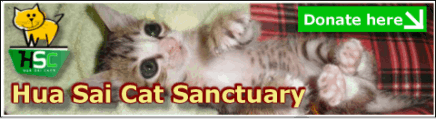 Hua Sai Cats